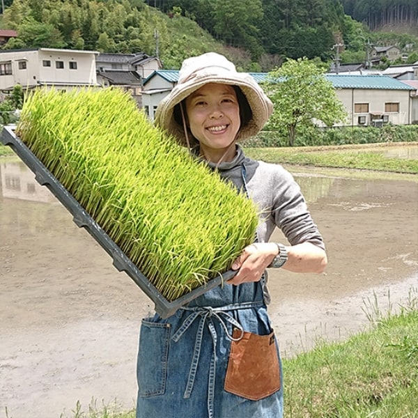 小鹿由香里