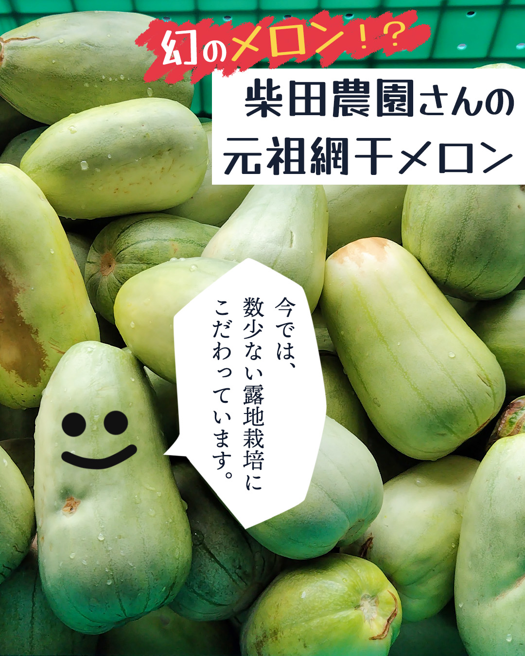 網干メロンを楽しむ子どもたち